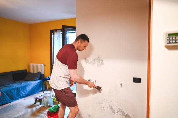Best Mold Remediation for Specific Building Types in Park Layne, OH